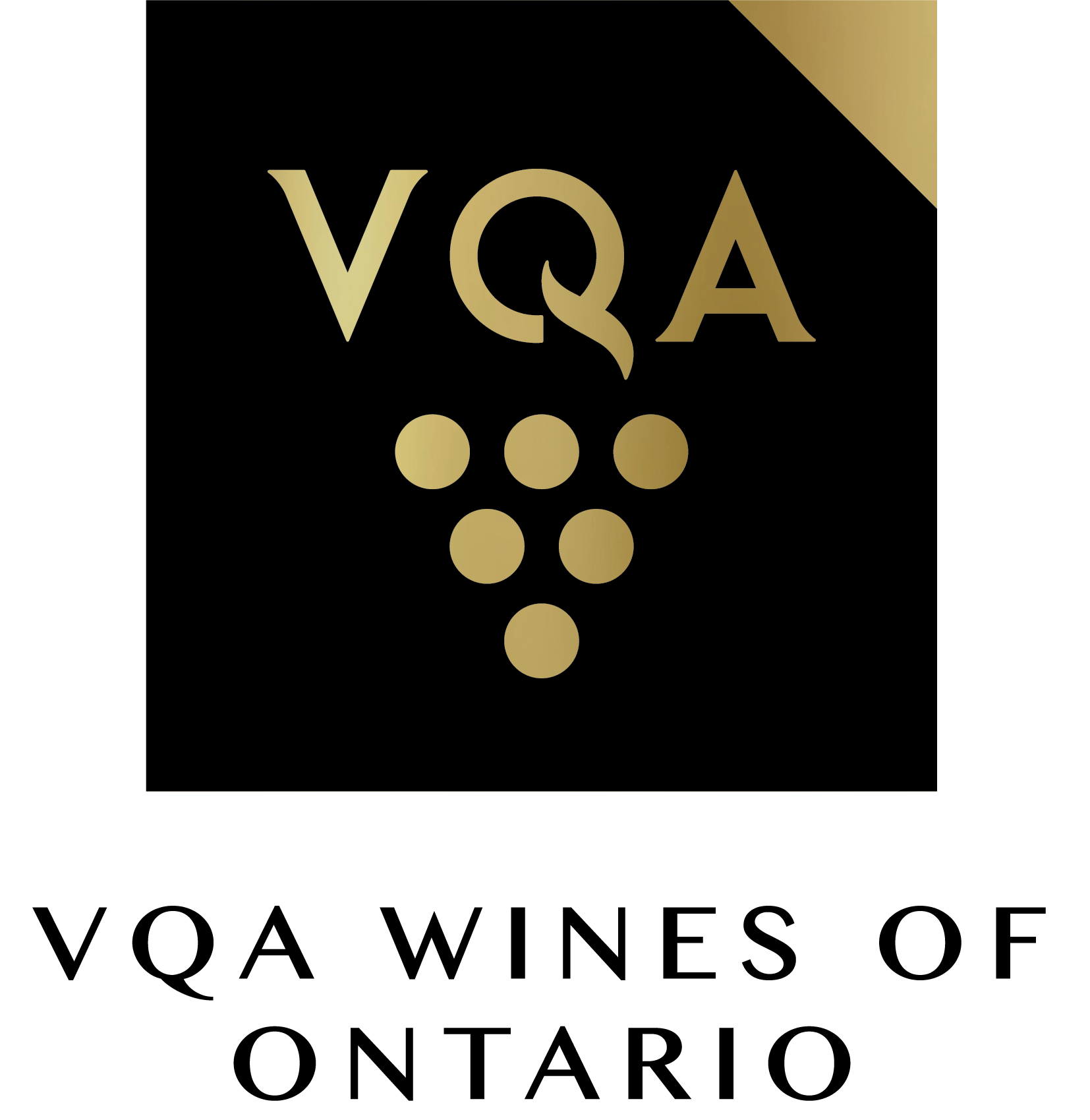 VQA_Logo_Process-Gradient_Rich-Black